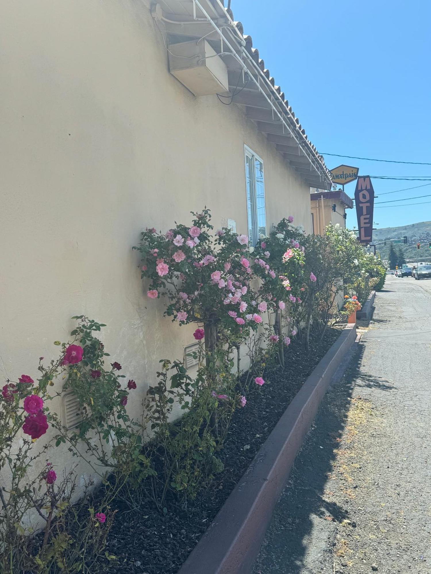 Tamalpais Motel Mill Valley Bagian luar foto